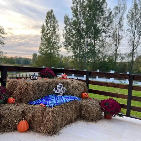 Casa Cu Flori Maramures Guest house